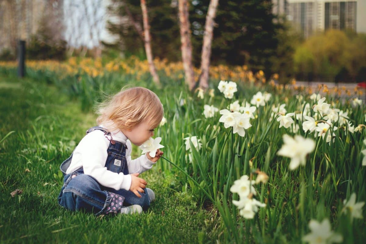 Child in meadow smelling a flower
