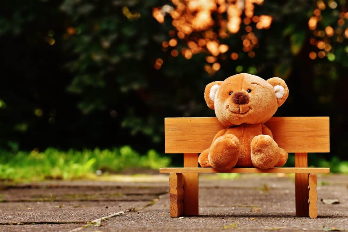 Teddy bear on park bench outside international child abduction symbol